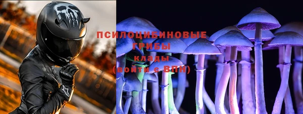 ПСИЛОЦИБИНОВЫЕ ГРИБЫ Навашино