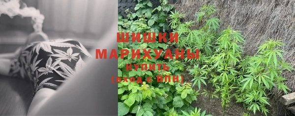 дурь Арсеньев