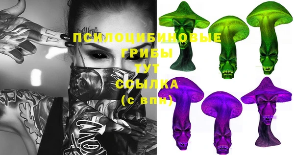 дурь Арсеньев